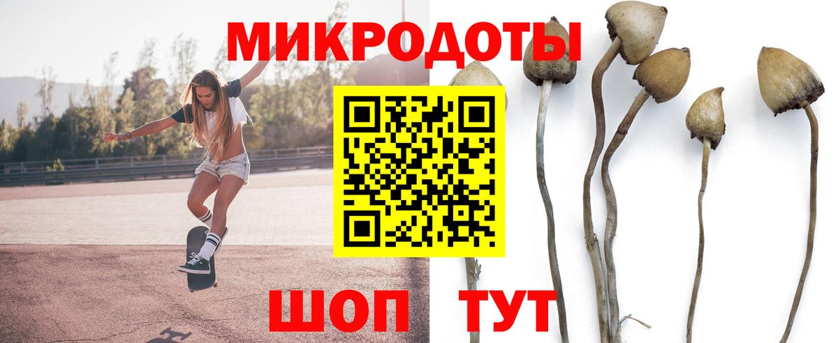 Псилоцибиновые грибы Psilocybine cubensis Семёнов
