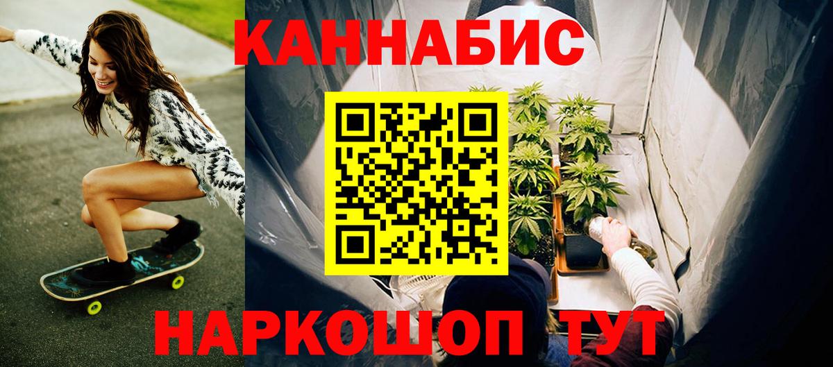 Бошки Шишки планчик Семёнов